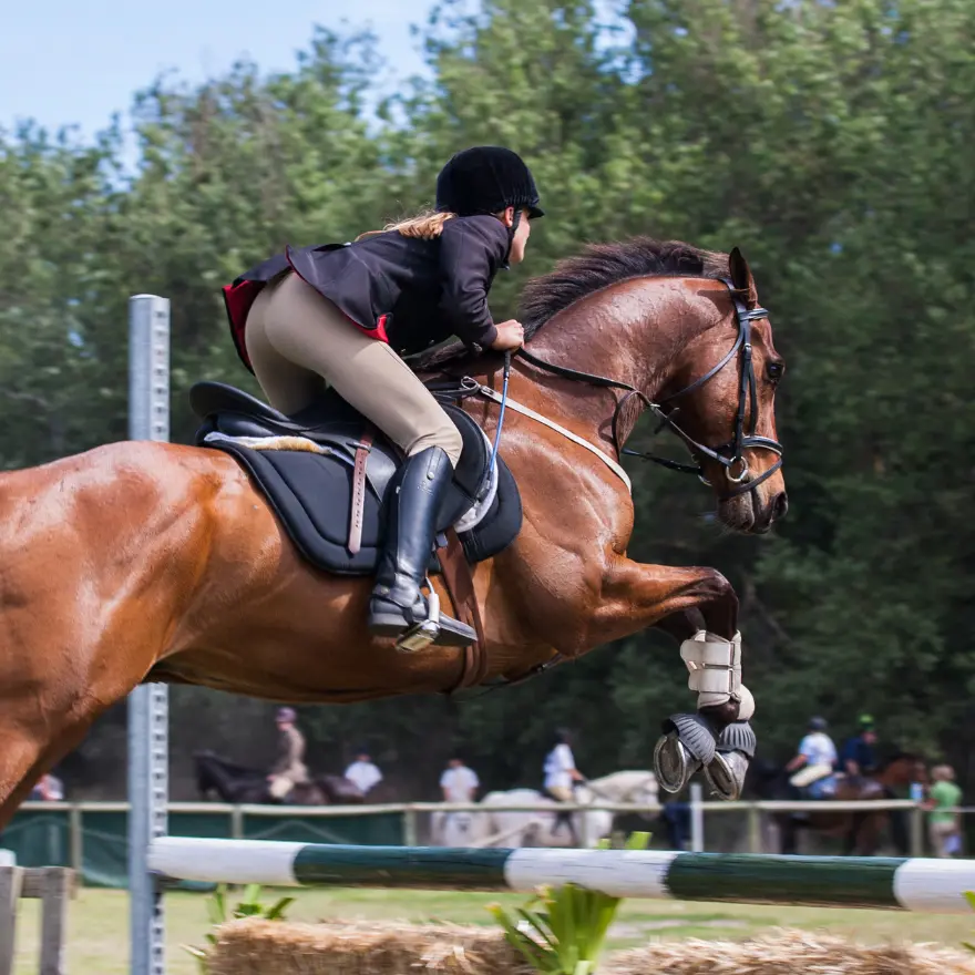 Une femme monte un cheval en sautant un obstacle.