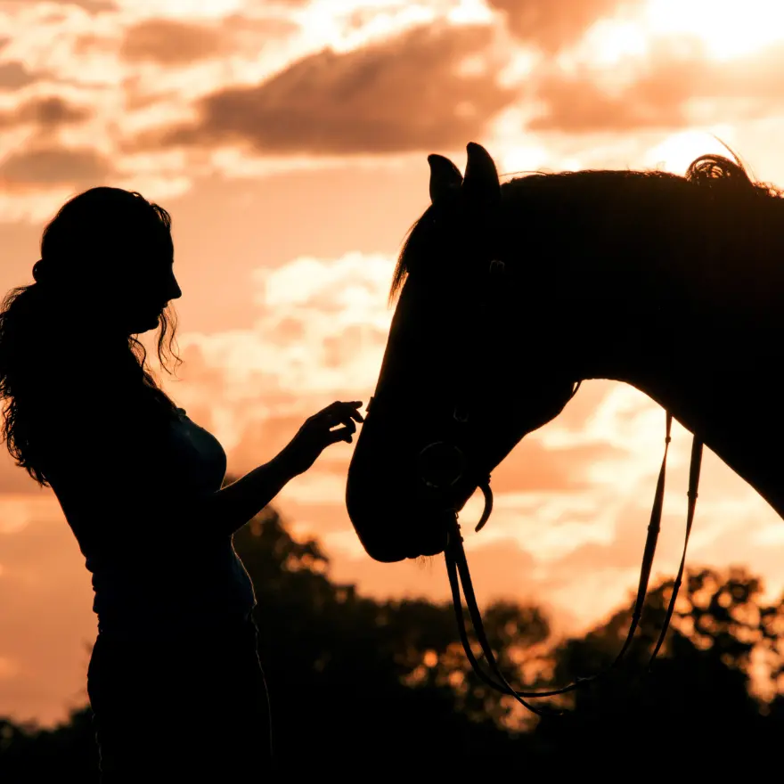 Une femme caresse un cheval au coucher du soleil