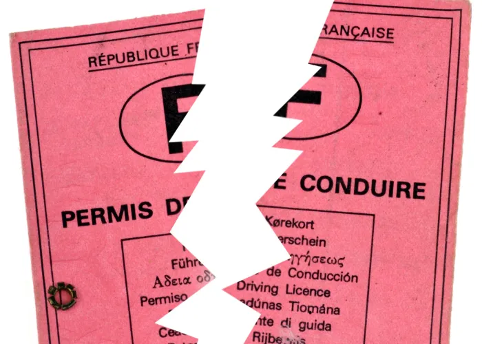 permis déchiré